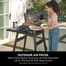 Ninja, Woodfire Pro XL Electric BBQ Grill & Smoker