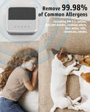 Gree, Air Purifier Allergy Sufferers with HEPA Filter and UV Light, up to 80m2