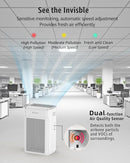 Gree, Air Purifier Allergy Sufferers with HEPA Filter and UV Light, up to 80m2