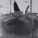 Nutribullet, Full-sized Blender Combo, 1000W