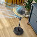 Philips, Series 600 Pedestal Fan