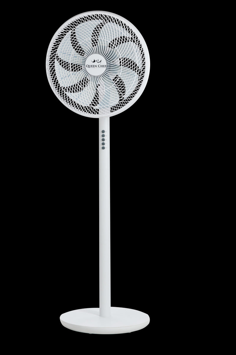 Queen Chef, Stand Fan 60 W