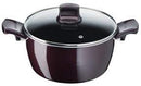 Tefal, D5224682 Resist Intense – Stewpot 24cm + Glass Lid