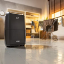 Delonghi, Dehumidifier & Purifier 21 Liters Smart