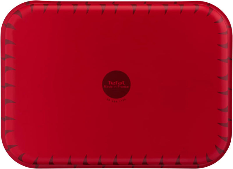 Tefal, Les Specialistes 25×19 cm Rectangular Roaster