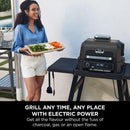 Ninja, Woodfire Pro XL Electric BBQ Grill & Smoker