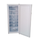 Carillo Defrost upright Freezer Silver