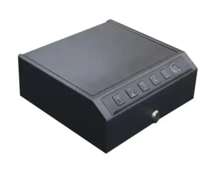CARILLO Biometric Gun Safe: 4 to 8 Digits Password