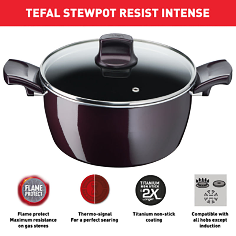 Tefal, D5224582 Resist Intense – Stewpot 22cm + Glass Lid