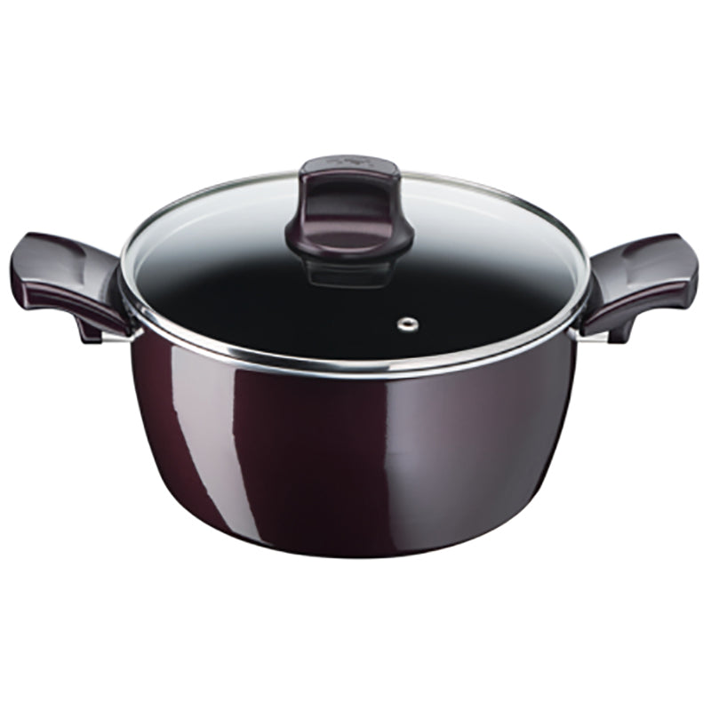 Tefal, D5225282 Resist Intense – Stewpot 26cm + Glass Lid