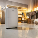 Delonghi, Dehumidifier 20 Liters