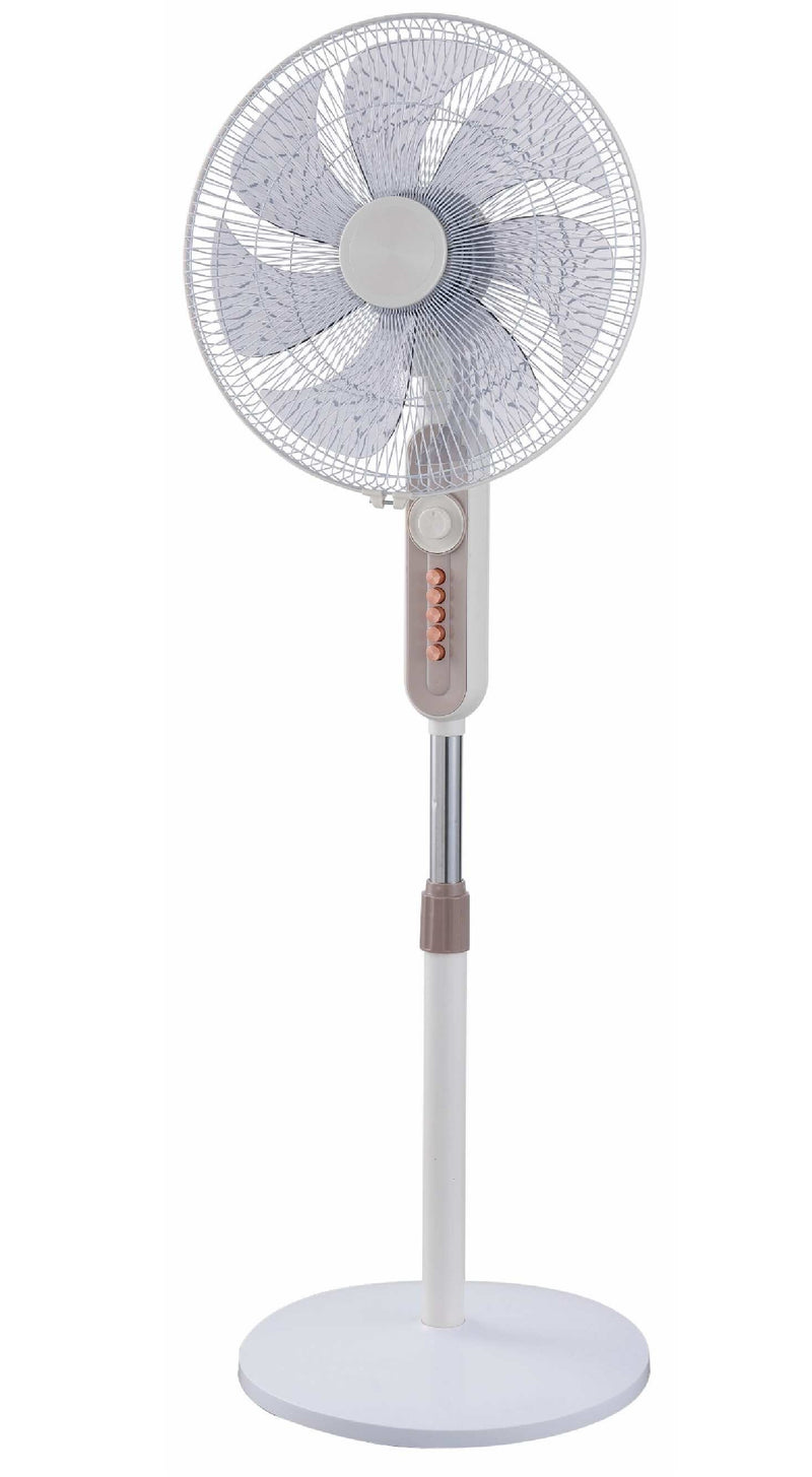 Queen Chef, Stand Fan 60 W
