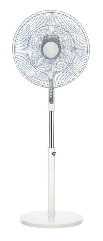 Queen Chef, Stand Fan 80 W, White