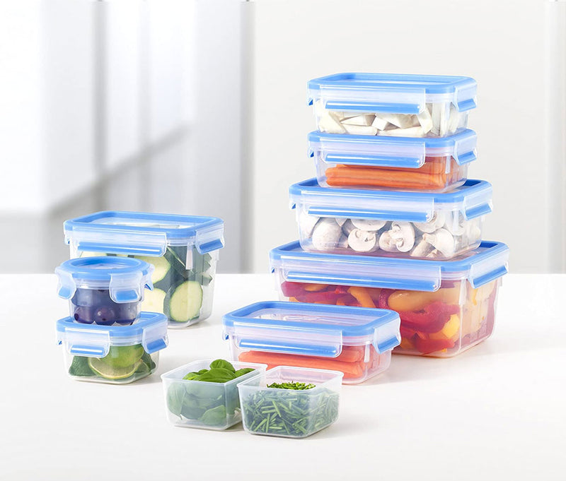 Tefal, Masterseal Storage Container 2 x 0.6 L Blue Cold Cut