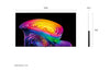 LG, OLED evo AI 4K C6 2026 55-inch Smart TV
