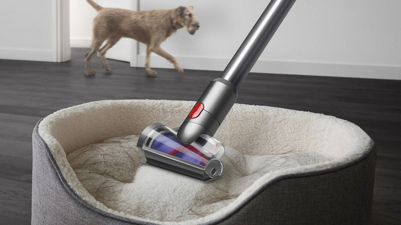 Dyson, V12 Detect Slim Absolute, Gold